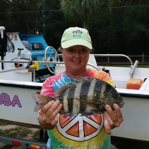 Susie_Sheepshead