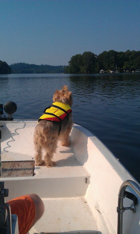 Sammy Lifejacket