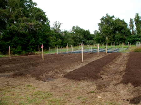 Toronto Landscapers