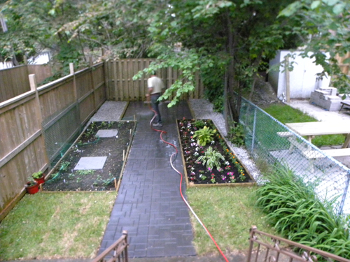 Toronto Gardeners