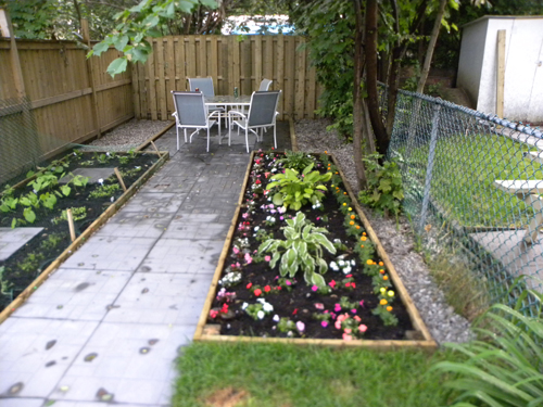 Toronto Gardeners