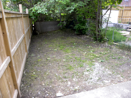 Toronto Gardeners