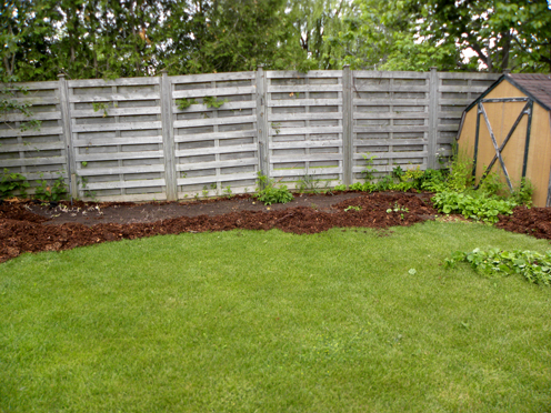Toronto Gardeners