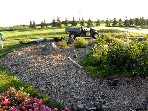 Toronto Landscapers