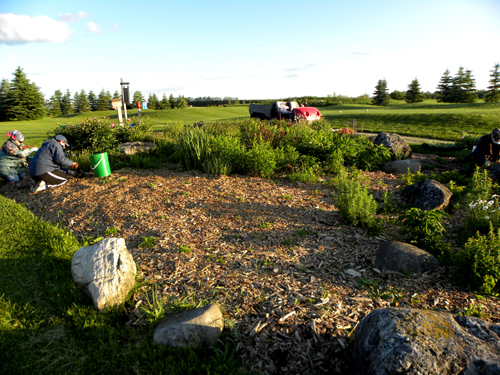 Toronto Landscapers