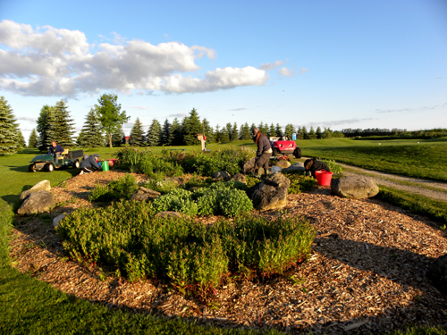 Toronto Landscapers