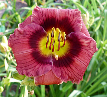 Small World Snap Crackle Pop